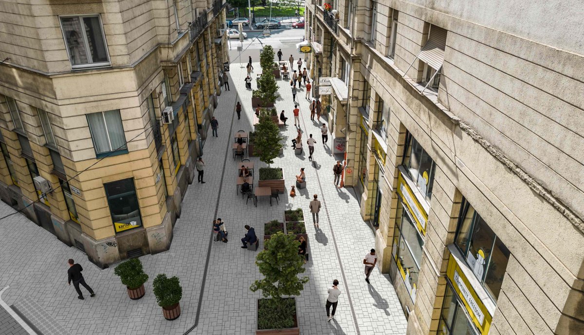 revay_koz_latvany (2).jpg