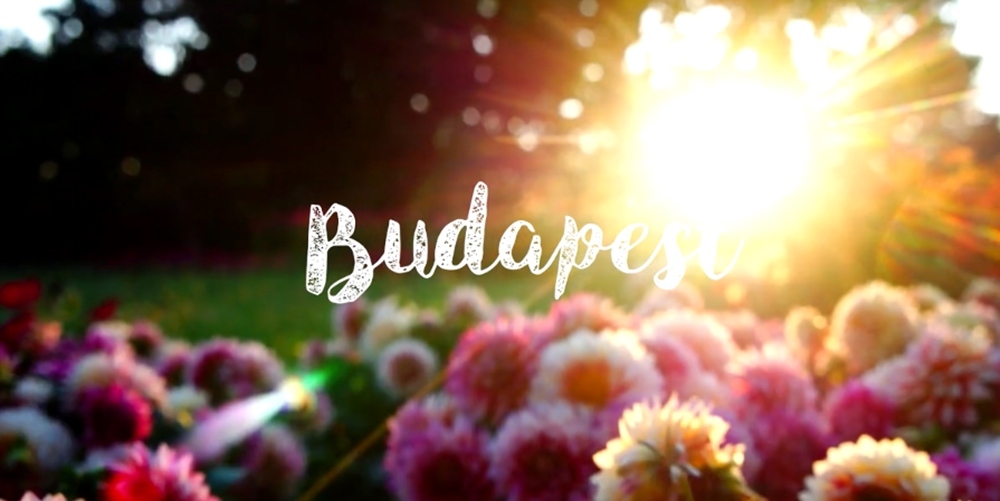 Egy kis séta Budapesten