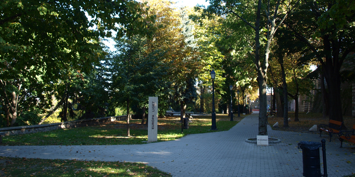 Nagy név, nagy lomb (II. rész)