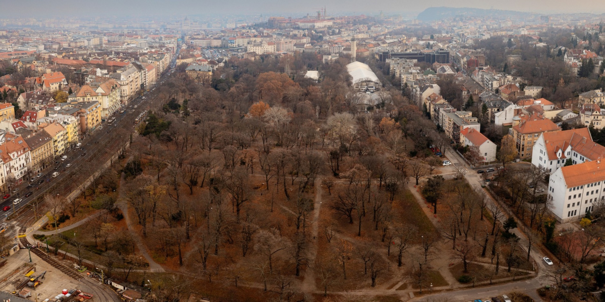 Még több fa lesz a Városmajorban: felújítják Buda legrégibb közparkját