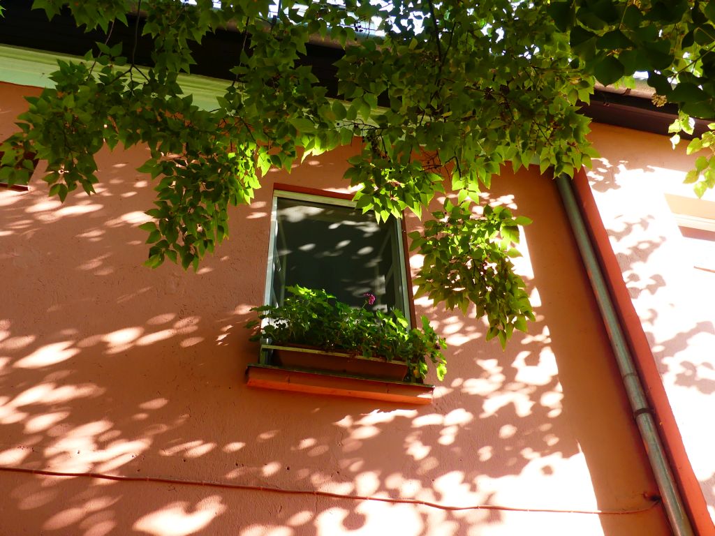 József Attila költő és Arany Dániel matematikus ugyanabban a zuglói ...