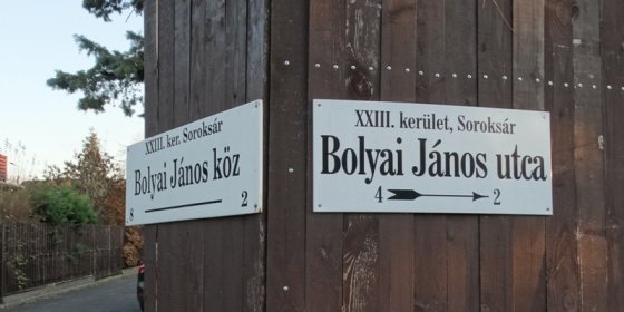 A Bolyai János utca és a Bolyai János köz sarka Soroksáron (Fotó: Pápai Tamás László/pestbuda.hu) DSC01314a.JPG
