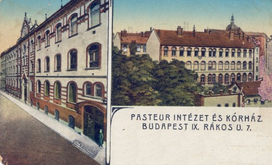 pasteur 1912 Gy_____.jpg