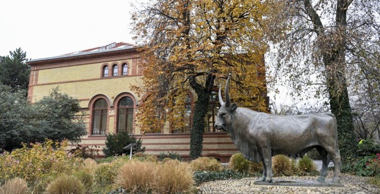 Az Állatorvostudományi Egyetem egyik István utcai felújított pavilonépülete (Fotó: MTI/Koszticsák Szilárd) D_KOS20241210003 (1).jpg