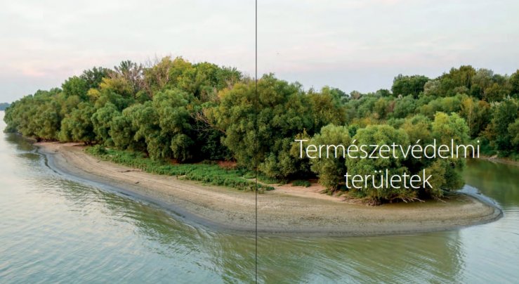 Megjelent a Helyi védett természeti értékek Budapesten című kiadvány (Fotó: részlet a kiadványból) b8bc4924-67be-4102-a129-0c1cec640726 (1).jpg