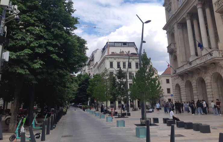 Zöldebb lett a belvárosi Egyetem tér: 21 fát ültettek (Fotó: pestbuda.hu) 20250528_150225 (1).jpg