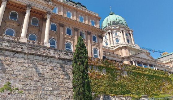 A nyitóképen: A királyi palota és az alatta húzódó középkori várfalak (Fotó: Bodó Péter/pestbuda.hu) 00.jpg