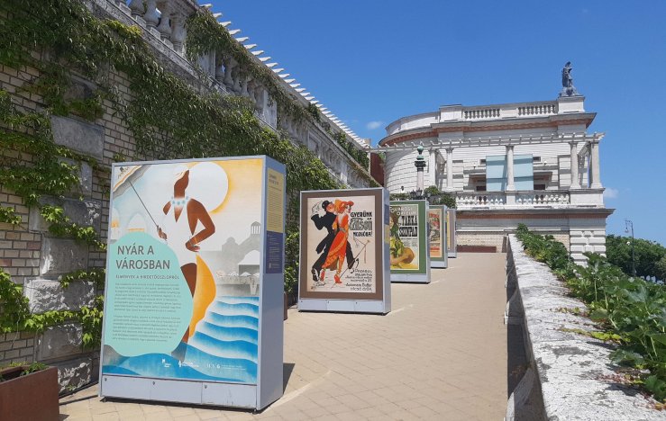 20250612_113643_001 (1).jpg