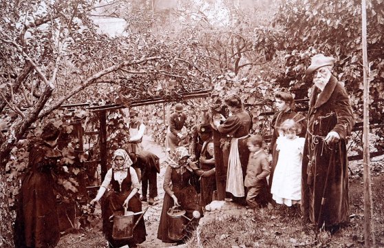 Szüret a Svábhegyen szuret_a_svabhegyen_746x1500.jpg