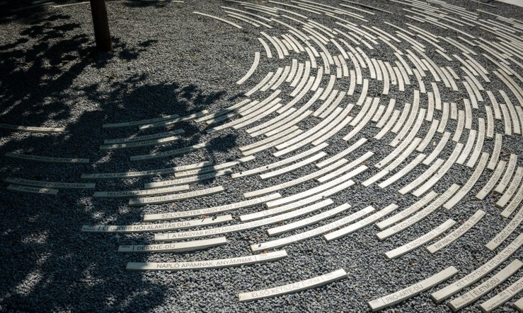 509329676_1166614025496973_3972039656044094607_n (1).jpg