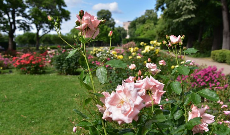 sztistvánpark2 (1).jpg