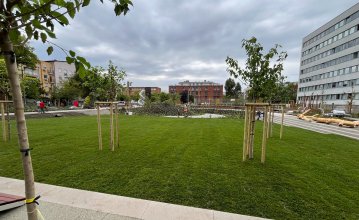 IMG_gyepszonyeg_3.jpg
