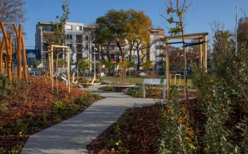 VJA_3665-1024x683 (1).jpg