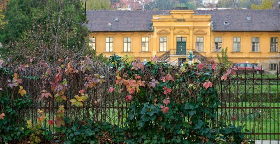 584427156_885468334145004_1640089623525626339_n (1).jpg