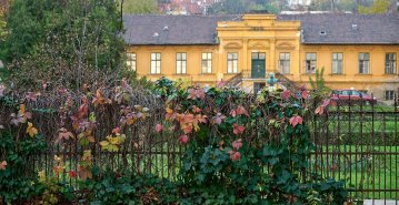 584427156_885468334145004_1640089623525626339_n (1).jpg