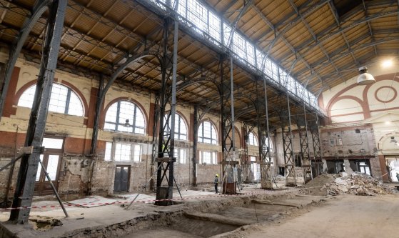 582838859_1239137541594759_7243356559056932956_n (1).jpg