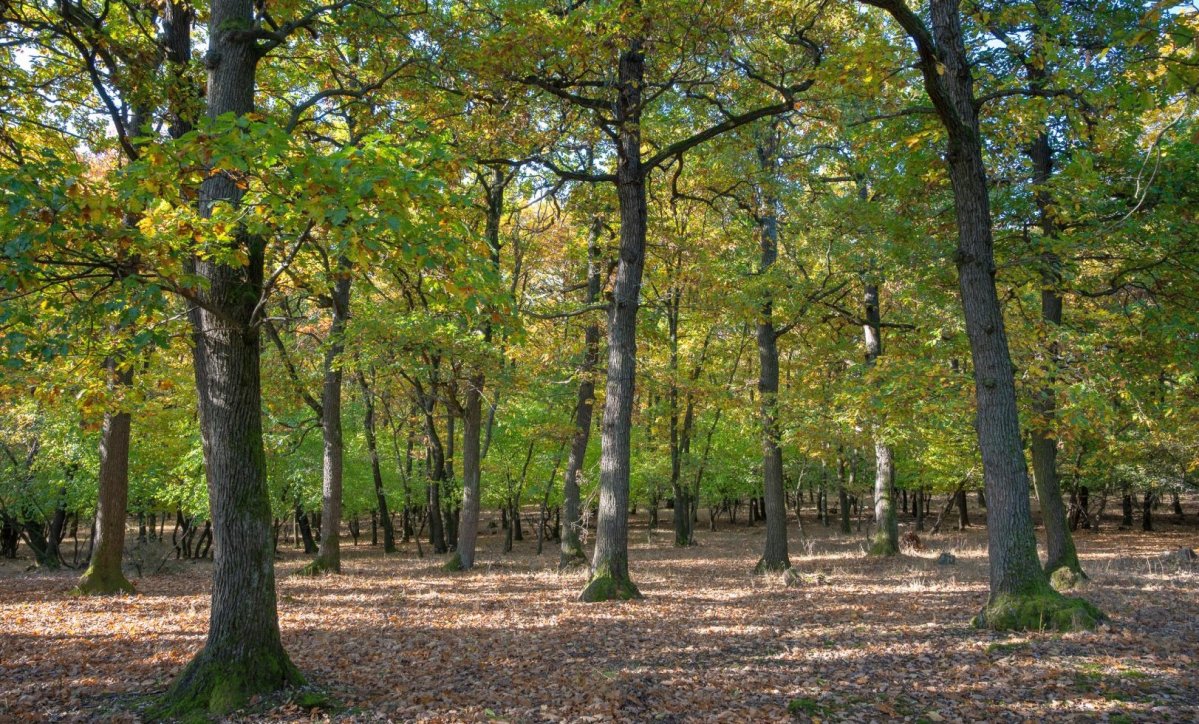 PP_OTP_tanosveny_2025_2 (1).jpg