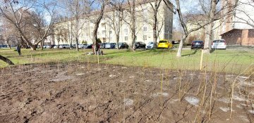 646349023_1332456962247889_2778359144505182550_n (1).jpg