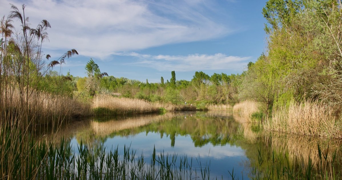 470574312_973713744793389_1346117492321738587_n (1).jpg