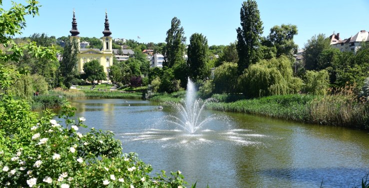701119387_1284716040505761_2391134902665667239_n (1).jpg