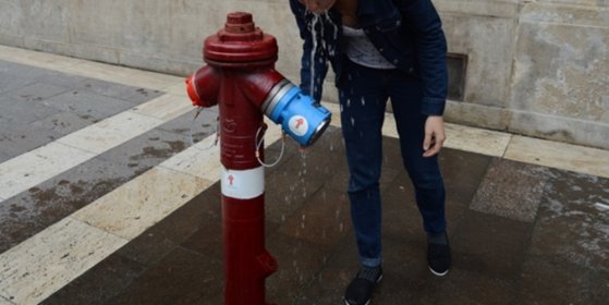 153676_ivokut.jpg 153676_ivokut.jpg