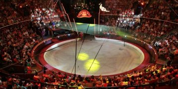 154772_nagycirkusz_1.jpg 154772_nagycirkusz_1.jpg