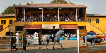 155004_nemzeti_lovarda.jpg 155004_nemzeti_lovarda.jpg