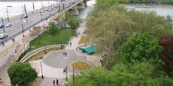 156228_platan_nyito.jpg 156228_platan_nyito.jpg