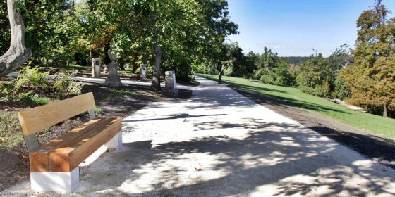 156428_normafa.jpg 156428_normafa.jpg