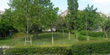 156556_faultetes.jpg 156556_faultetes.jpg