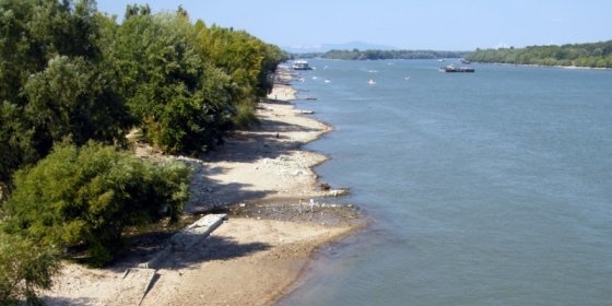 157844_romai_part.jpg
