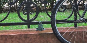 160108_beka.jpg