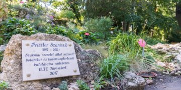 160660_priszter.jpg