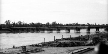 162108_colophid_kozelrol.jpg