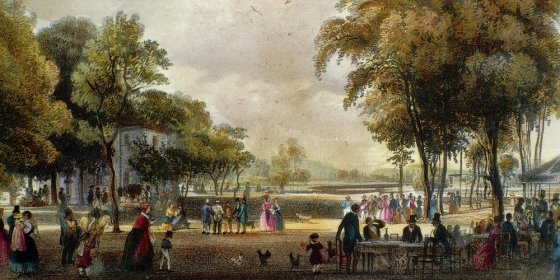 163324_vliget.jpg
