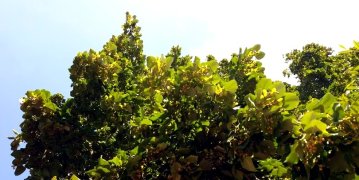 165308_20180819_150211.jpg