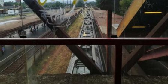 166452_koki.jpg 166452_koki.jpg