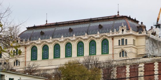 166612_borlovarda.jpg