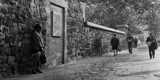 166628_126383-crop.jpg 166628_126383-crop.jpg