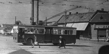 166908_71049.jpg