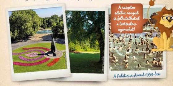 167188_zold_fuzet1_masolat.jpg 167188_zold_fuzet1_masolat.jpg