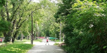 169878_img_20190607_095602_masolat.jpg