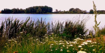 170542_naplas_1-min.jpg