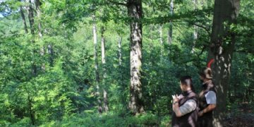 170966_pilisi_fa_ellenorzes_parkerdo_masolat.jpg