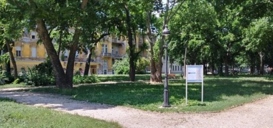 171110_setaosveny1.jpg 171110_setaosveny1.jpg