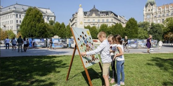 171486_erdovarazs1_masolat.jpg 171486_erdovarazs1_masolat.jpg