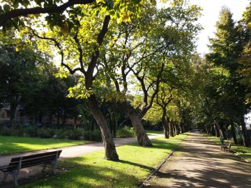 172030_szent_istvan_park_1-min.jpg