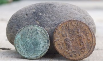 175420_limes2.jpg