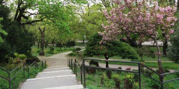 178364_varosmajor_park_felujitas.jpg