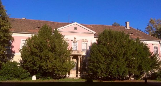 181906_zichy17.jpg 181906_zichy17.jpg